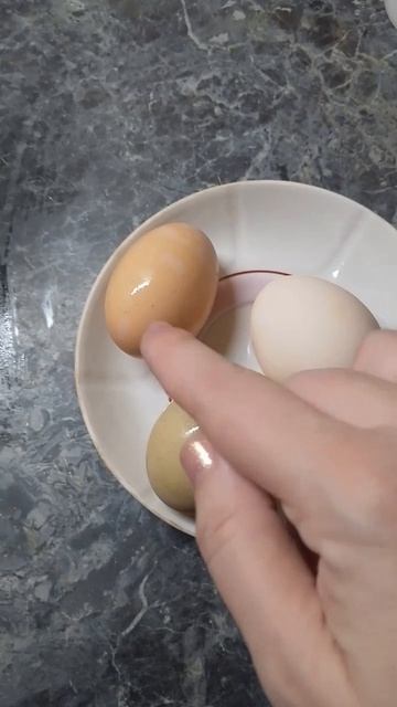 Разноцветные деревенские яйца