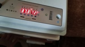 китайский инкубатор на 120 яиц