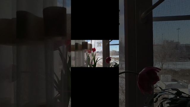 ✨С 8 марта!!! С праздником 💐!!!Желаю вам здоровья крепкого,счастья ,успехов удачи , благополучия!✨