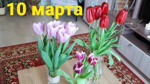 10 марта, сажаю томаты на рассаду