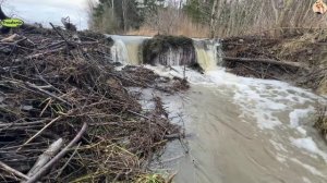 Строительство, расчистка дренажных каналов