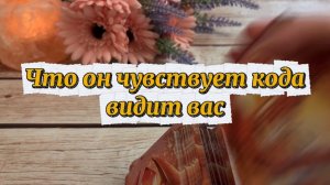 Что он чувствует когда видит вас😍🍒❤️🔥Таро