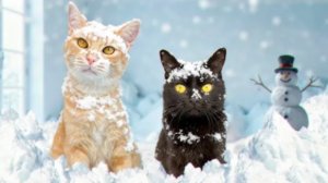 Мы принесли в квартиру много снега (SANISHOW)