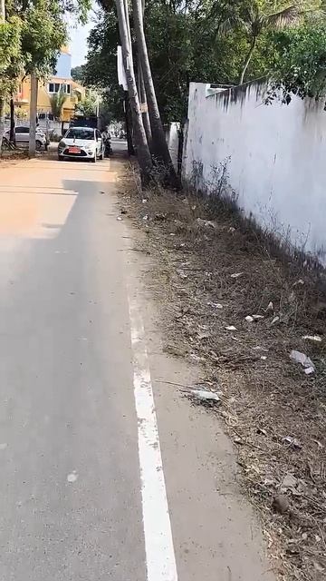 Новости из штат Тамил Наду. Индия. Со 2 марта 26 г праздник Холи, с яркими красками. (1)