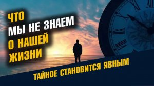 Что Мы Не Знаем О Нашей Жизни