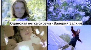 "Одинокая ветка сирени"