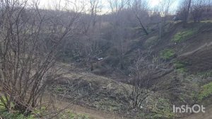 первые выезды. март 2026.