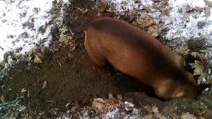 115 2018.11.26_11.24.14