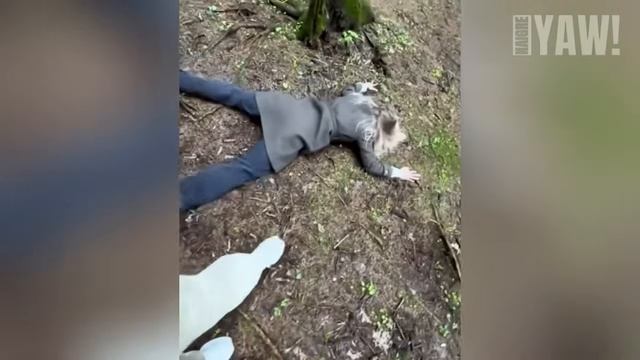 Idiots Around the World _ Idiots of the Week _ 100% Moron 😂 _ Try Not To Laugh _ PART 116 #fails