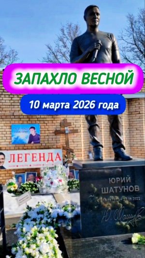 Цветущая память: весна у могилы Юрия Шатунова #shorts #шатунов #2026 #белыерозы #ласковыймай #весна