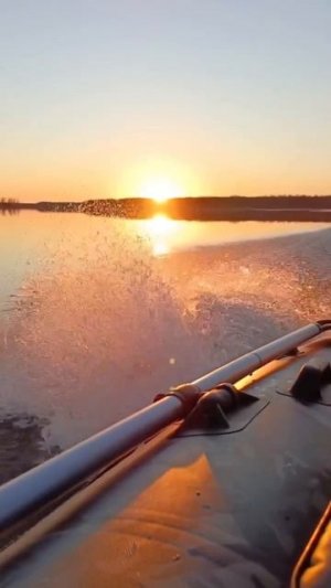 Клип @zatropheem