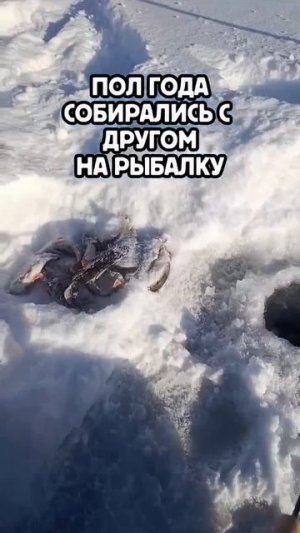 Видео от За Трофеем: Охота и Рыбалка