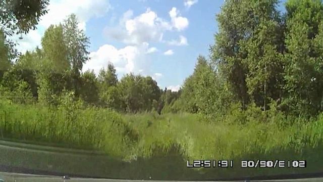 Зашумели тополя. Песня о любви.