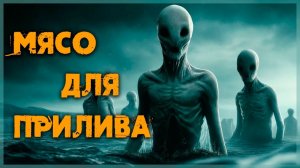 Мясо Для Прилива I Страшные Истории На Ночь