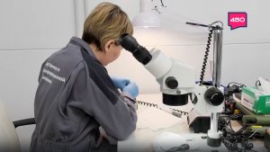 Проект "Моя карьера с "Единой Россией". Итоги за 2025 год