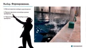 Когнитивные навыки и их формирование Открытая тренировка косатки Рогова Виктория Евгеньевна
