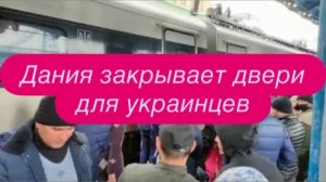 Как украинские мошенники обманывают своих же. #новости #беженцыизукраины