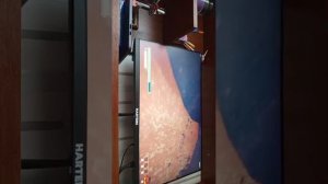 стримок на сегодня 🤗