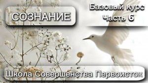 БАЗОВЫЙ КУРС. ЦЕЛОСТНОСТЬ СОЗНАНИЯ, ЭГО. Часть 6