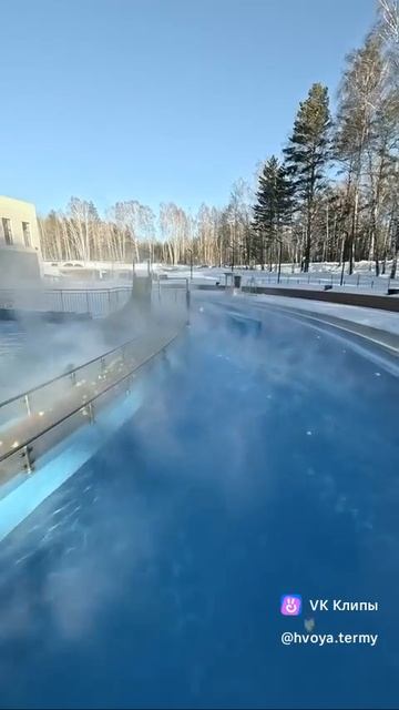 #хвоя смотреть онлайн
