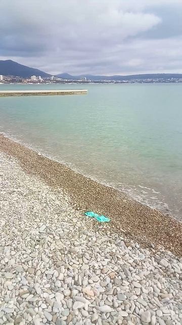 Моржи удивляют отдыхающих