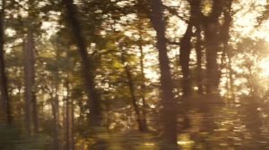 Всё заканчивается (фильм, 2025)