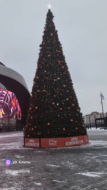 новогодние елки