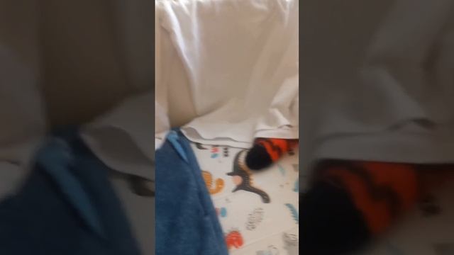 Кировец к700  против бампириста