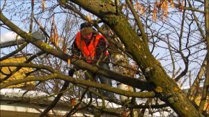 Надеюсь такое повторится не скоро...