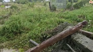 Строительство, расчистка русла реки