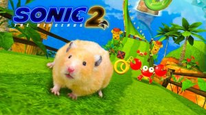 Захватывающее приключение хомяка в мире Соника! ｜ Hamster Maze