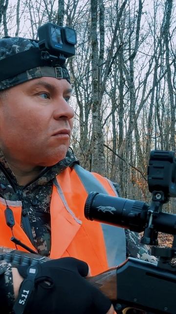 2 охота / ЕСЛИ СТРЕЛЯЮТ — НА ДЕРЕВО! охота #охотанакобана #трофейныйкабан #трофейнаяохота