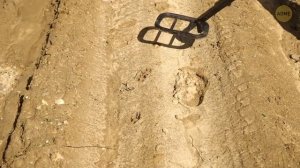 Что-то странное подо льдами Гренландии вызывает глобальную тревогу