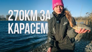 Весенний карась на фидер! Прикормка и насадка которые ловят весной