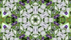 Видеофоны! Видеофон Подснежники 5! Футаж от Киностудии Мудрого Кота Тимофея!