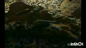 Поездка в Уфу в "Подводный мир" зимой по выигранным мной билетам. Серия вторая