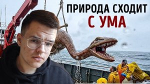 Обнаружено САМОЕ ОПАСНОЕ СУЩЕСТВО на ЗЕМЛЕ!