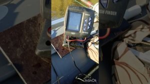 Охота на сома!