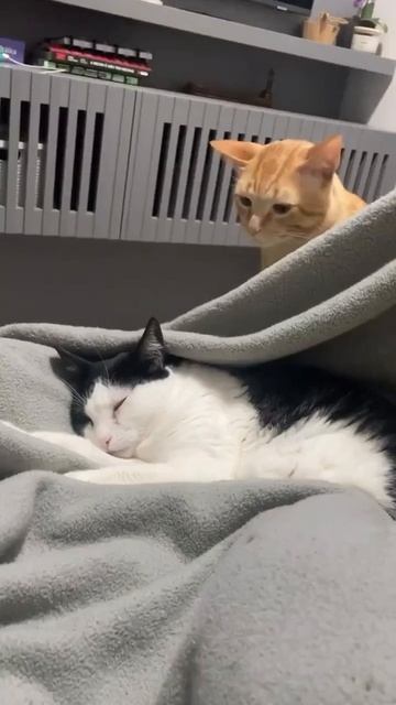 Ты спишь там чтоль?