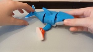 Обзор Акулы 🦈