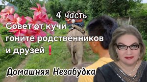 4 часть. Совет от кучи: гоните родственников и друзей❗️