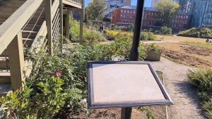 Аптекарский огород. м Проспект Мира.