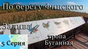 По берегу Финского залива. От ЗСД до Сестрорецка! 5 Серия