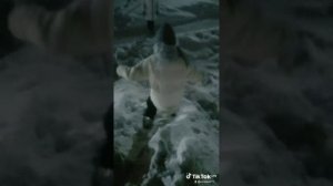 сто с нами произошло так поздно на улице 😱😱😱😱