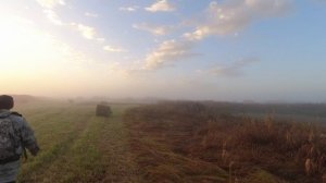 охота на утку с собакой 2025