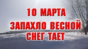 10 марта. На даче
