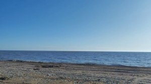 КОСА ДОЛЖАНСКАЯ.КОСА КАМЫШЕВАТСКАЯ.ФАЗАНЫ ЗАБРОШКИ.