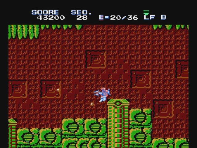 TAS, (NES) Section Z - In 29m 57.806s By Adelikat