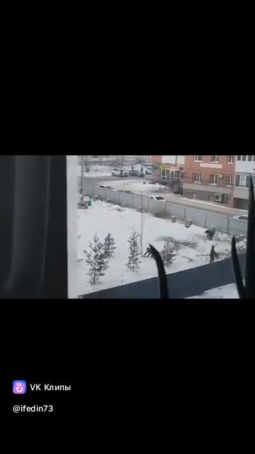 Ну и ну!  Среда обитания или коммерческая застройка  Сотни жителей Омска в Кировске  протестуют