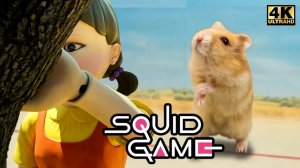 Этот хомяк принял вызов из «Игры в кальмара»... То, что происходит дальше, просто безумие...